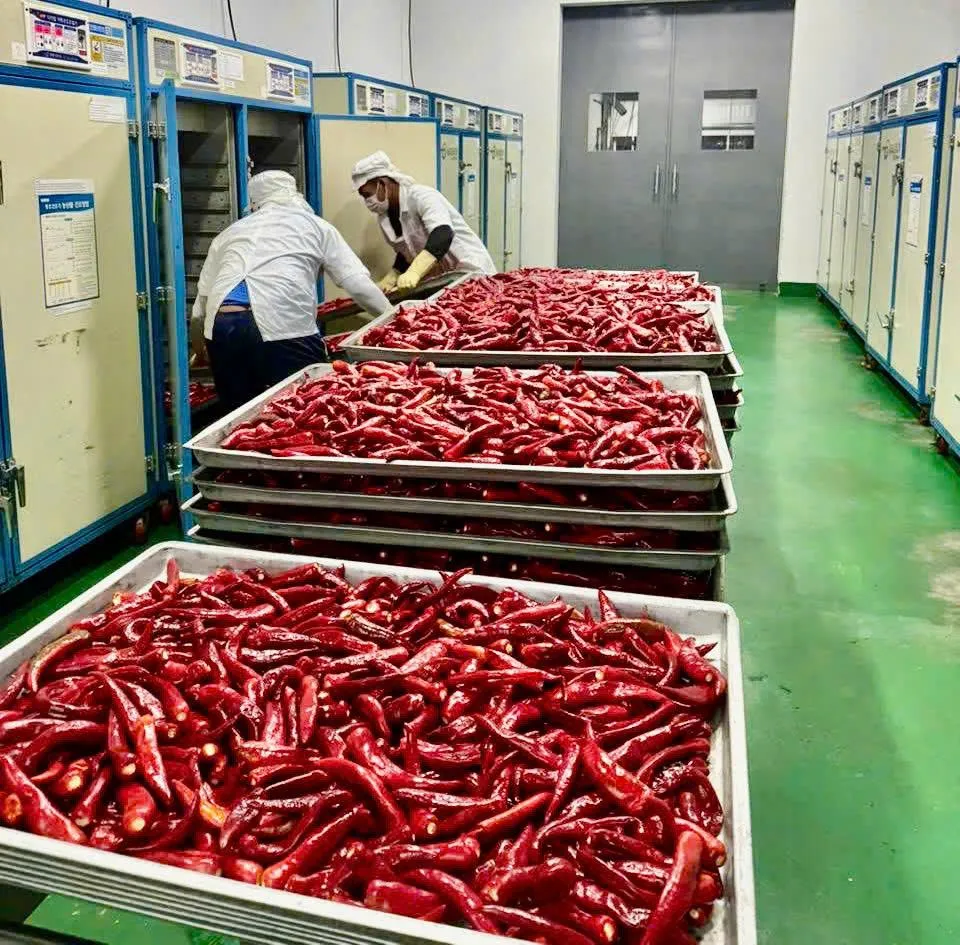 'Ớt Ninh Thuận' minh chứng cho sự 'sáng tạo giá trị chung' giữa nông dân Khánh Hòa và doanh nghiệp Hàn Quốc