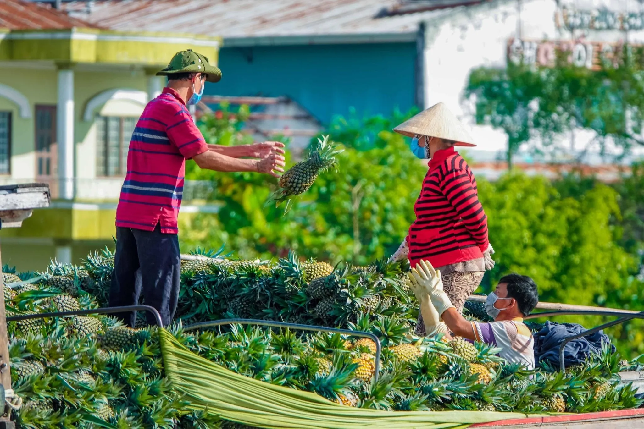 Ứng dụng công nghệ, khoa học, chuyển đổi số để thúc đẩy xuất khẩu nông lâm thuỷ sản