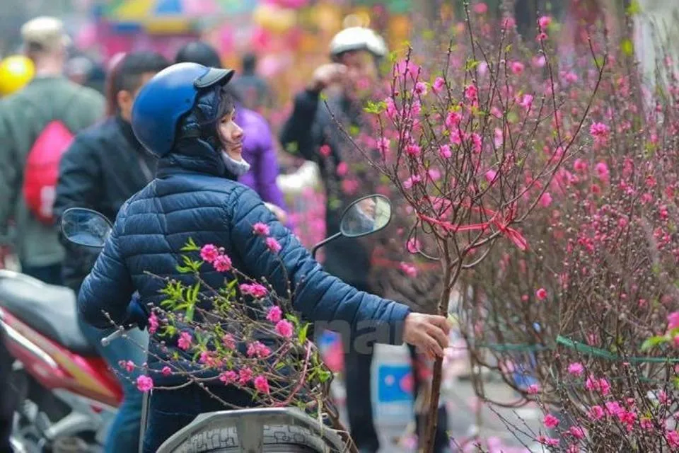 Đề xuất hai phương án nghỉ Tết Đinh Mùi 2027