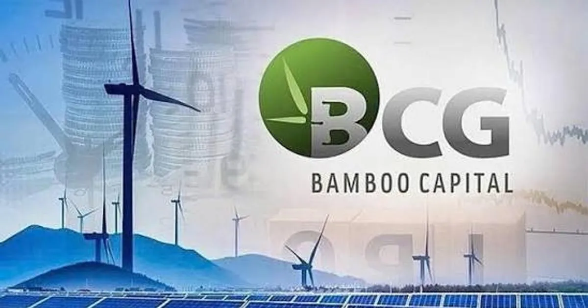Bamboo Capital và BCG Land bị hủy tư cách công ty đại chúng, quyền lợi cổ đông ra sao?