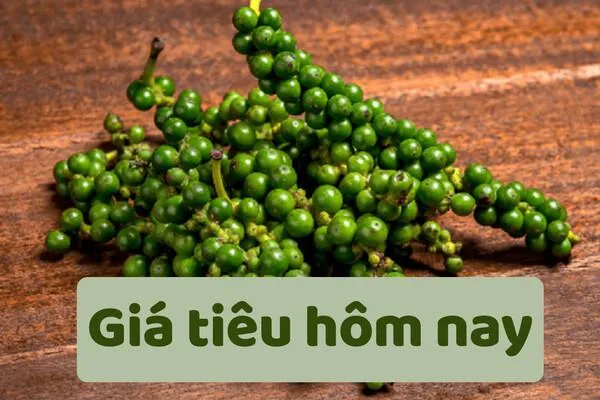 Giá tiêu hôm nay 13/8: Đi ngang, cao nhất 139.000 đồng/kg