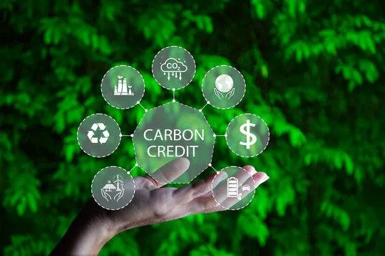 Quản lý phát thải hiệu ứng nhà kính và hiệu quả của chứng chỉ carbon