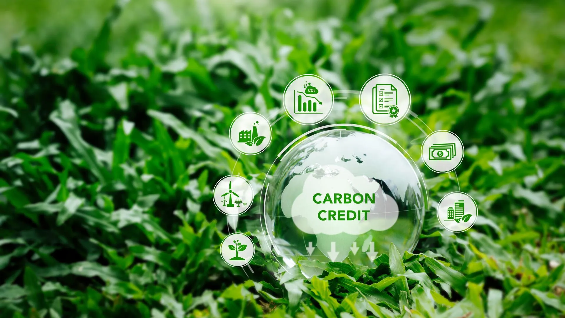 Phát triển thị trường carbon trong lĩnh vực năng lượng tái tạo