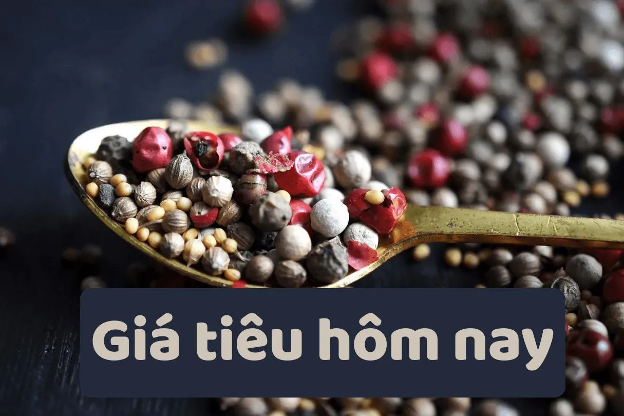 Giá tiêu hôm nay 27/8: Ổn định, cao nhất 138.500 đồng/kg