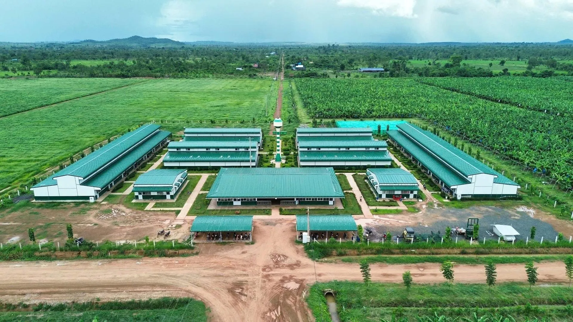 HAGL Agrico bị nghi ngờ về khả năng hoạt động liên tục