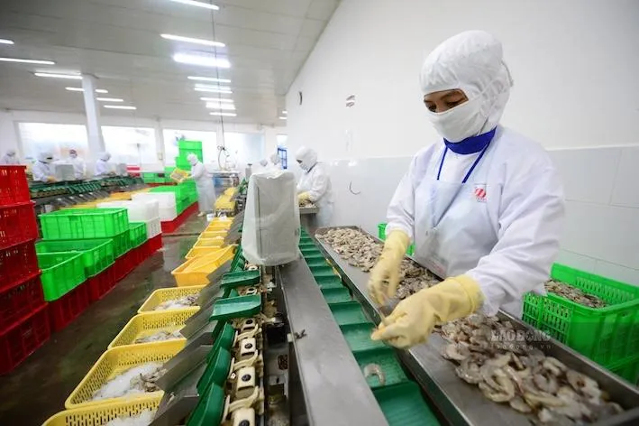 Thủy sản Việt Nam hướng tới mục tiêu xuất khẩu 12 tỷ USD