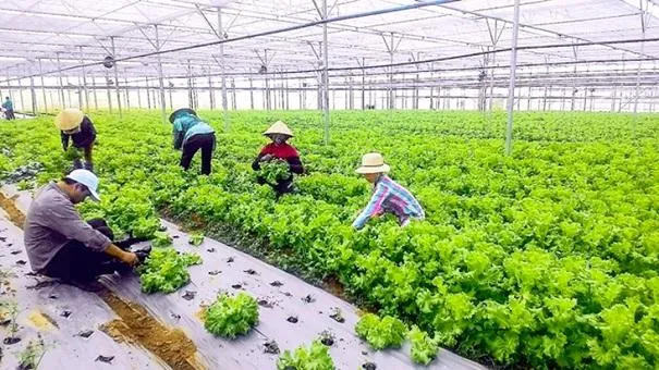 Tự chủ năng lượng và phân bón từ công nghệ xử lý bùn thải hữu cơ