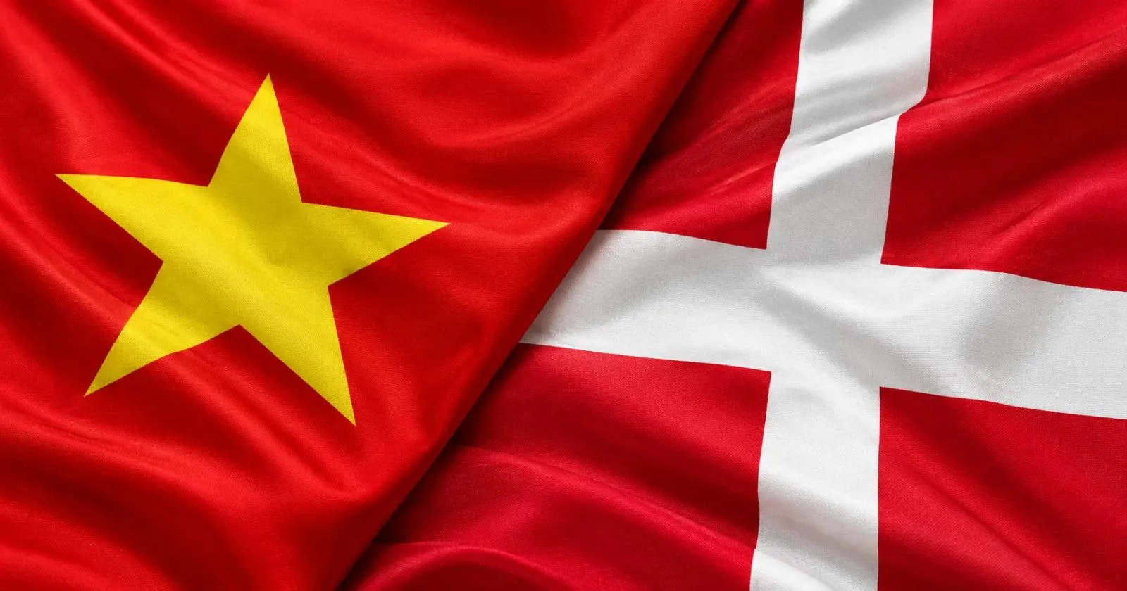 Nhịp cầu xanh Việt Nam - Đan Mạch: Khúc ca về tình hữu nghị