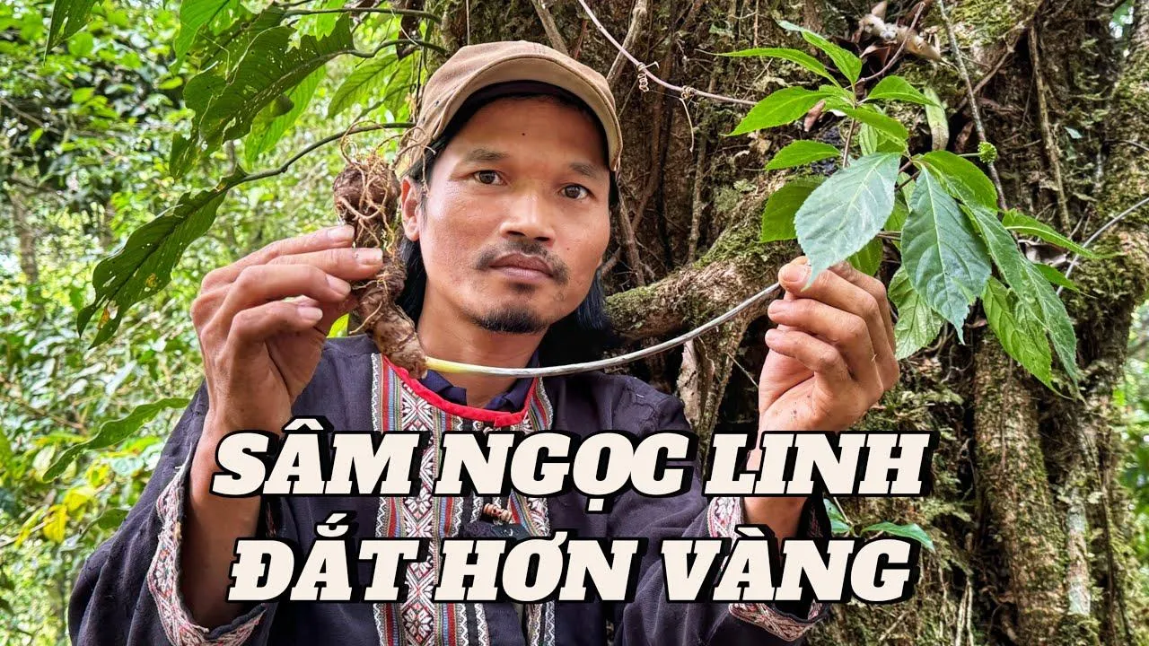 Chủ kênh Già làng Tây Nguyên vừa bị khởi tố là ai?