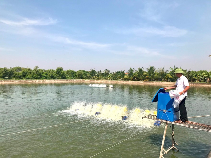 Ông Nguyễn Văn Lâm, xóm Trung Đồng, xã Hải Đông, huyện Hải Hậu, tỉnh Nam Định đã thành công trong việc chuyển đổi sản xuất nhờ nguồn vốn vay từ Agribank .