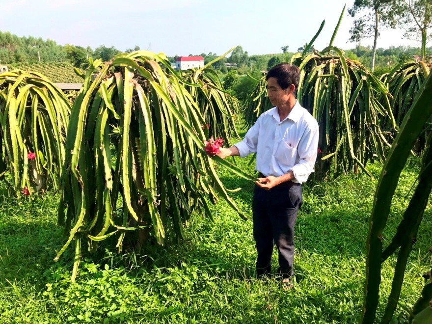 Diện mạo nông thôn khởi sắc nhờ nguồn vốn Agribank