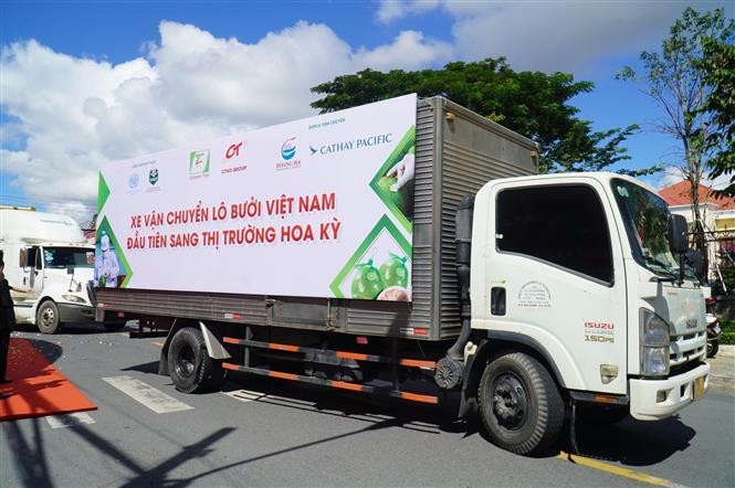  Xe vận chuyển lô bưởi đầu tiên xuất khẩu sang Hoa Kỳ. 