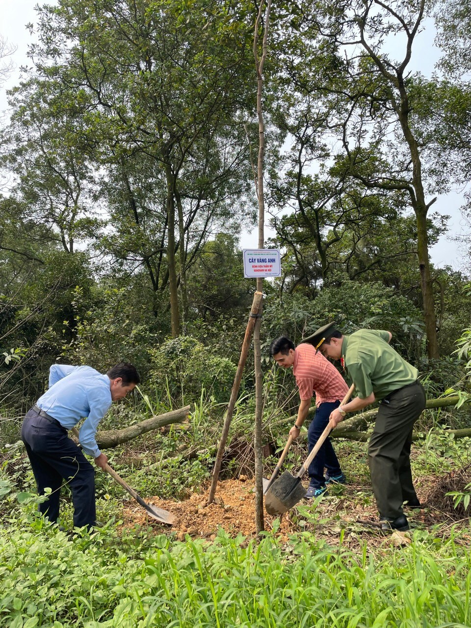 Hoa hậu Thuỳ Dương - áo xanh trồng cây cùng các Đại biểu