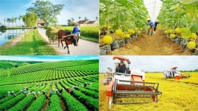 Chính phủ sẽ trình Quốc hội ban hành cơ chế tháo gỡ khó khăn, vướng mắc cho 3 chương trình mục tiêu quốc gia