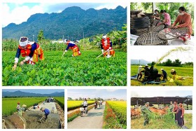 Đẩy nhanh tiến độ thực hiện các chương trình mục tiêu quốc gia