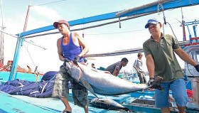 Hải sản Việt Nam 'hồi hộp' chờ kết luận gỡ “thẻ vàng” IUU