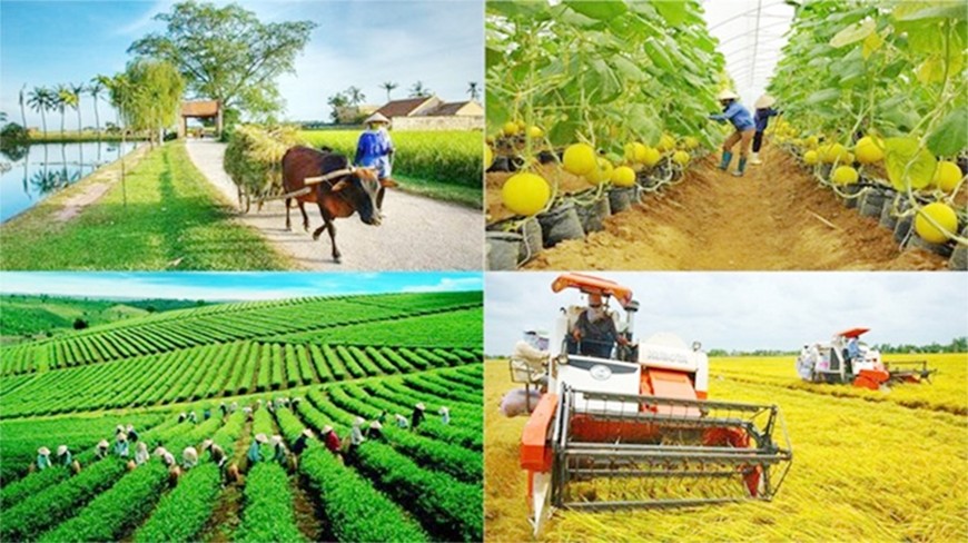 Bổ sung dự toán chi đầu tư phát triển, kế hoạch đầu tư vốn các chương trình MTQG