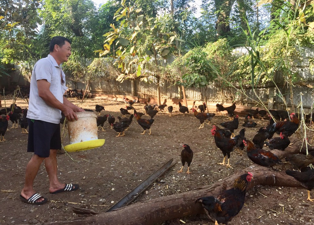 Xây dựng nông thôn mới và điểm sáng ở Thanh An