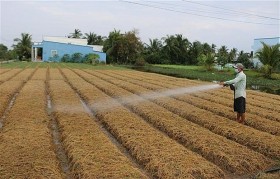 Bạc Liêu phát triển nông nghiệp công nghệ cao