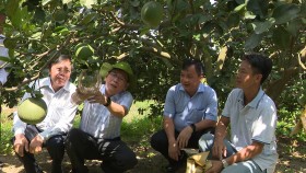Xây dựng nông thôn mới đi vào chiều sâu
