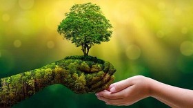Màu xanh cho những tầm cao mới của Việt Nam