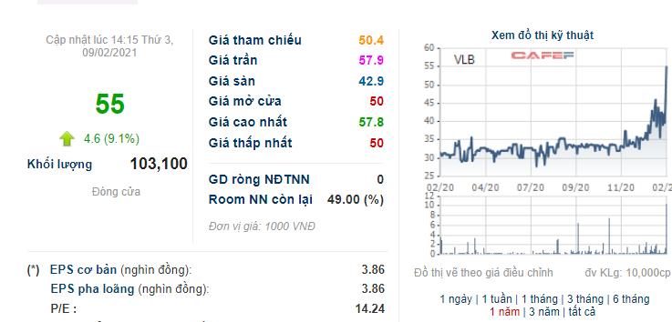 VLXD Bi&ecirc;n H&ograve;a (VLB): Năm 2020 l&atilde;i 182 tỷ đồng vượt 82% kế hoạch - Ảnh 2.