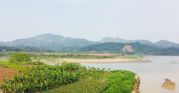 Cái bãi bồi ở phía kia sông…