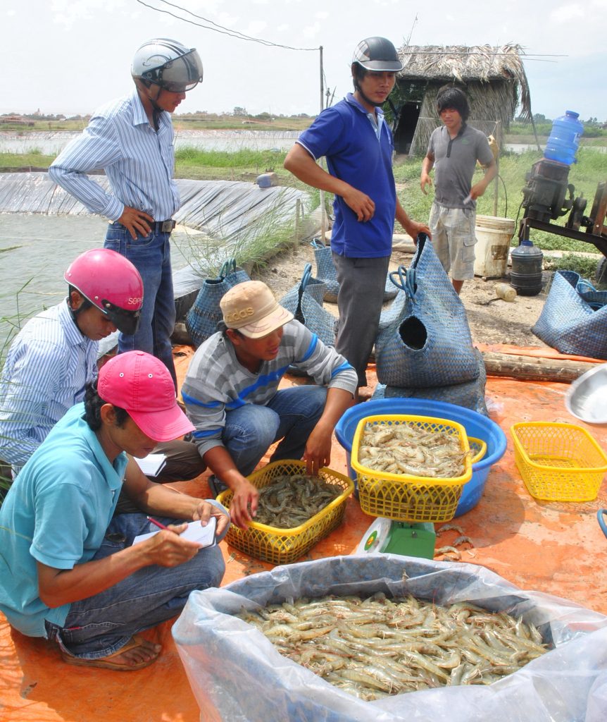 Kinh tế hợp tác: Mô hình xóa đói giảm nghèo hiệu quả cho đồng bào Khmer