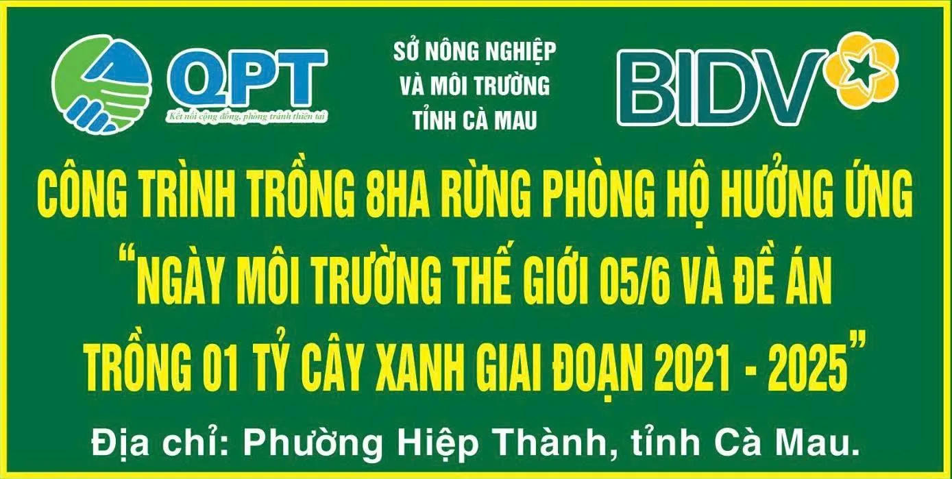 Hoàn thành trồng mới 8 ha rừng ngập mặn từ nguồn tài trợ của BIDV tại tỉnh Cà Mau