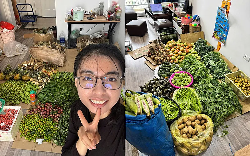 Bỏ văn phòng máy lạnh, cử nhân Luật rẽ hướng kinh doanh rau củ, có ngày bán tới 250kg