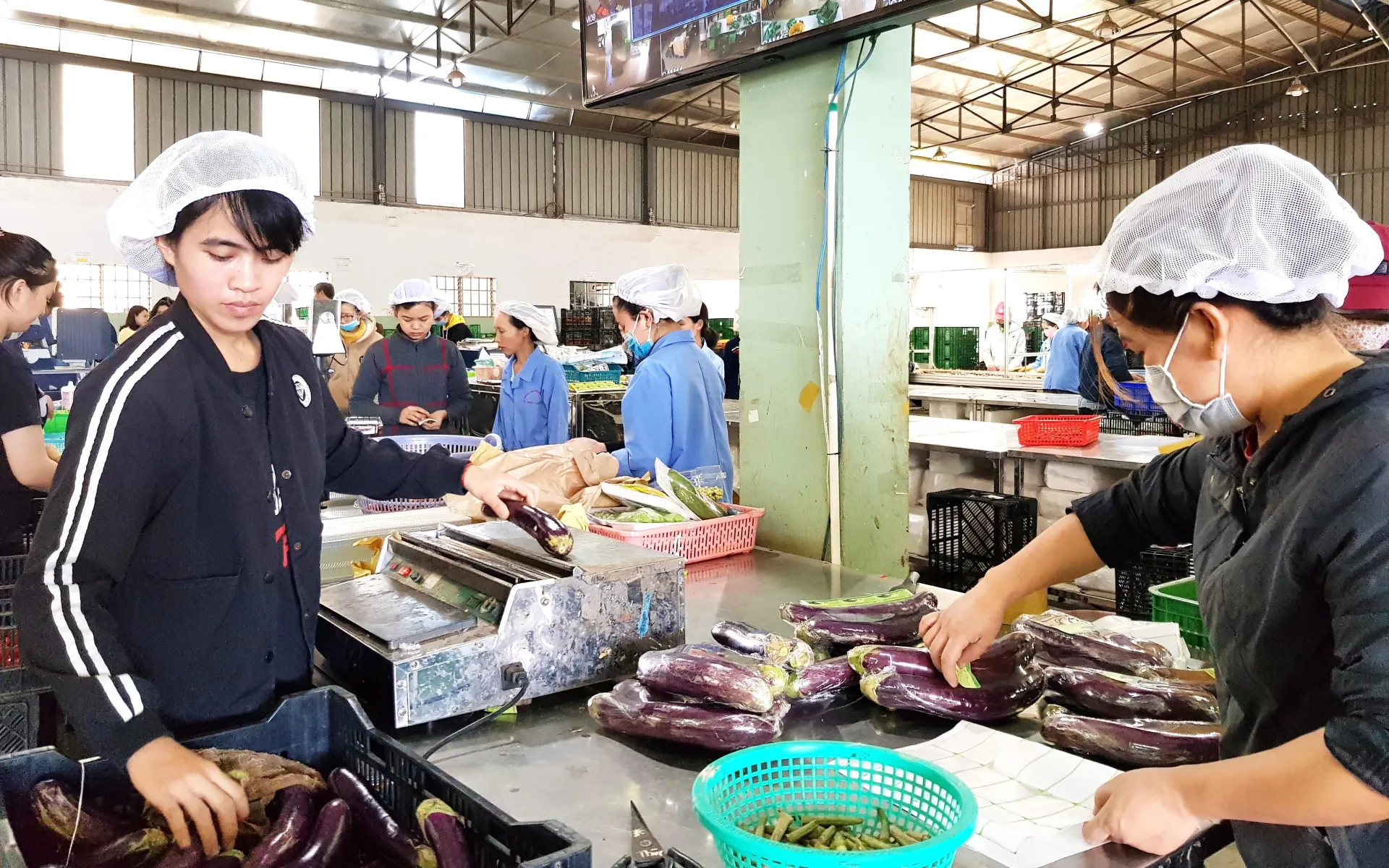 An toàn thực phẩm- nhận thức đúng, hành động trách nhiệm