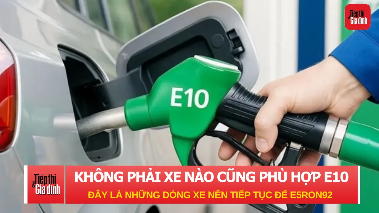 Không phải xe nào cũng hợp xăng E10: Đây là những dòng nên tiếp tục đổ E5 RON92