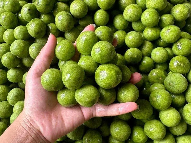 Sấu vào mùa, đừng bỏ lỡ cách bảo quản này: Để cả năm vẫn tươi ngon, nấu canh hay pha nước đều chuẩn vị