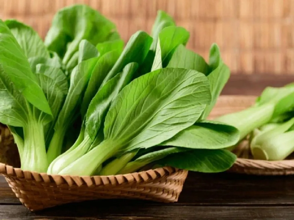 Đừng chỉ mua thịt cá, mùa hè thấy 4 loại rau này ngoài chợ nên mang về ngay: Vừa mát người vừa giàu dinh dưỡng