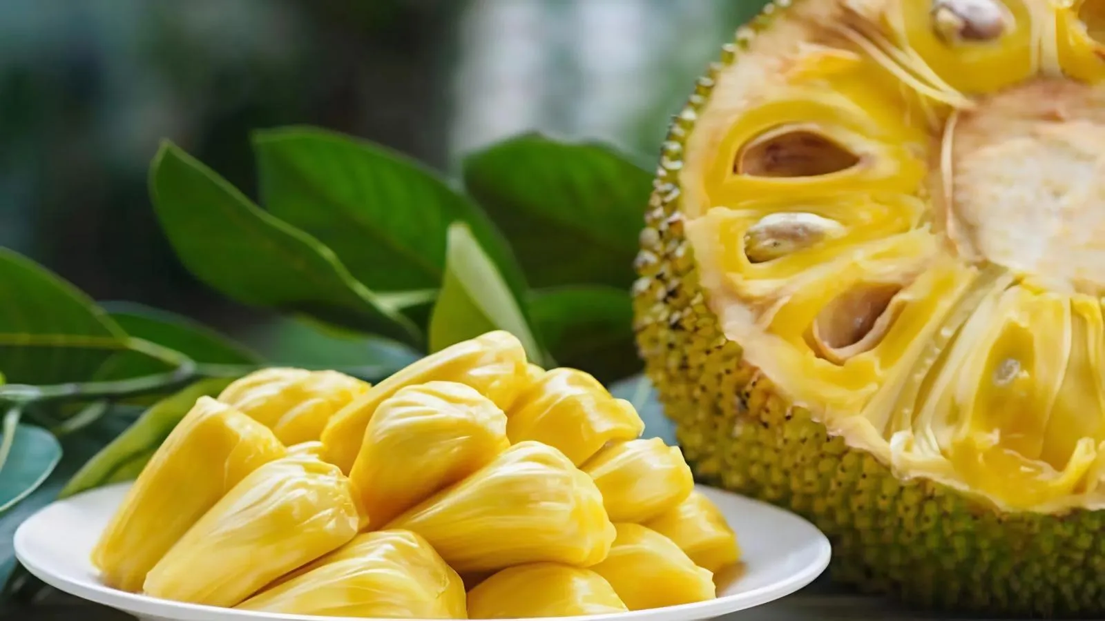 Muốn mua mít chín cây thơm nức, ít xơ, nhiều múi thì đừng bỏ qua những chi tiết này