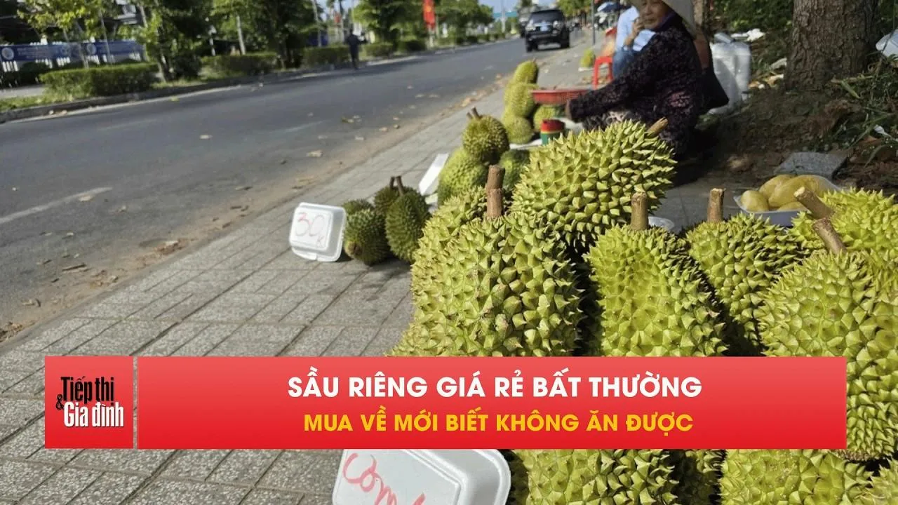 Sầu riêng “giải cứu” ven đường, rẻ nhưng dễ mất tiền oan