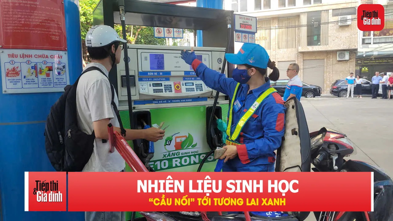 Xăng E5, E10 là bước đệm cho chuyển dịch năng lượng xanh