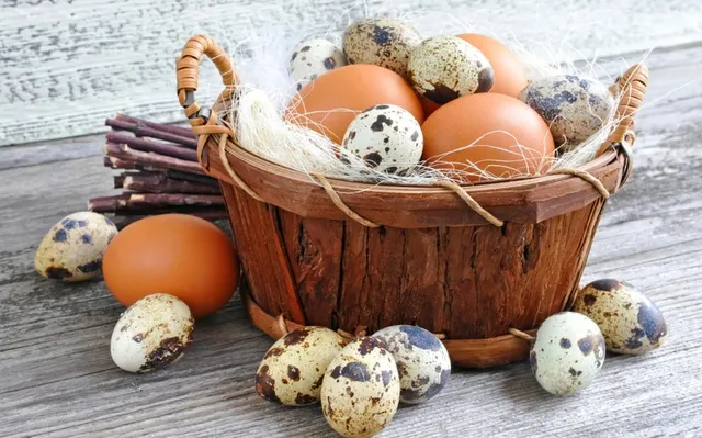 Trứng cút hay trứng gà bổ dưỡng hơn? Câu trả lời khiến nhiều người bất ngờ