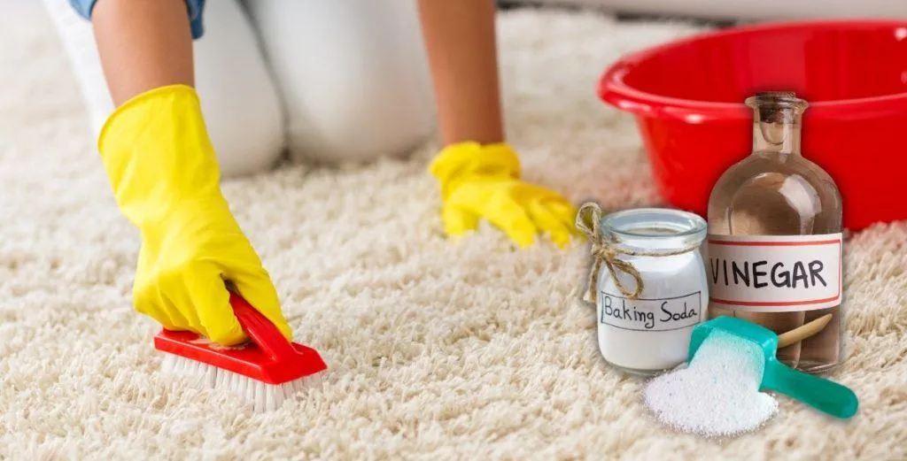 Không cần giặt vẫn sạch bong: 5 mẹo làm mới thảm đơn giản, tiết kiệm thời gian