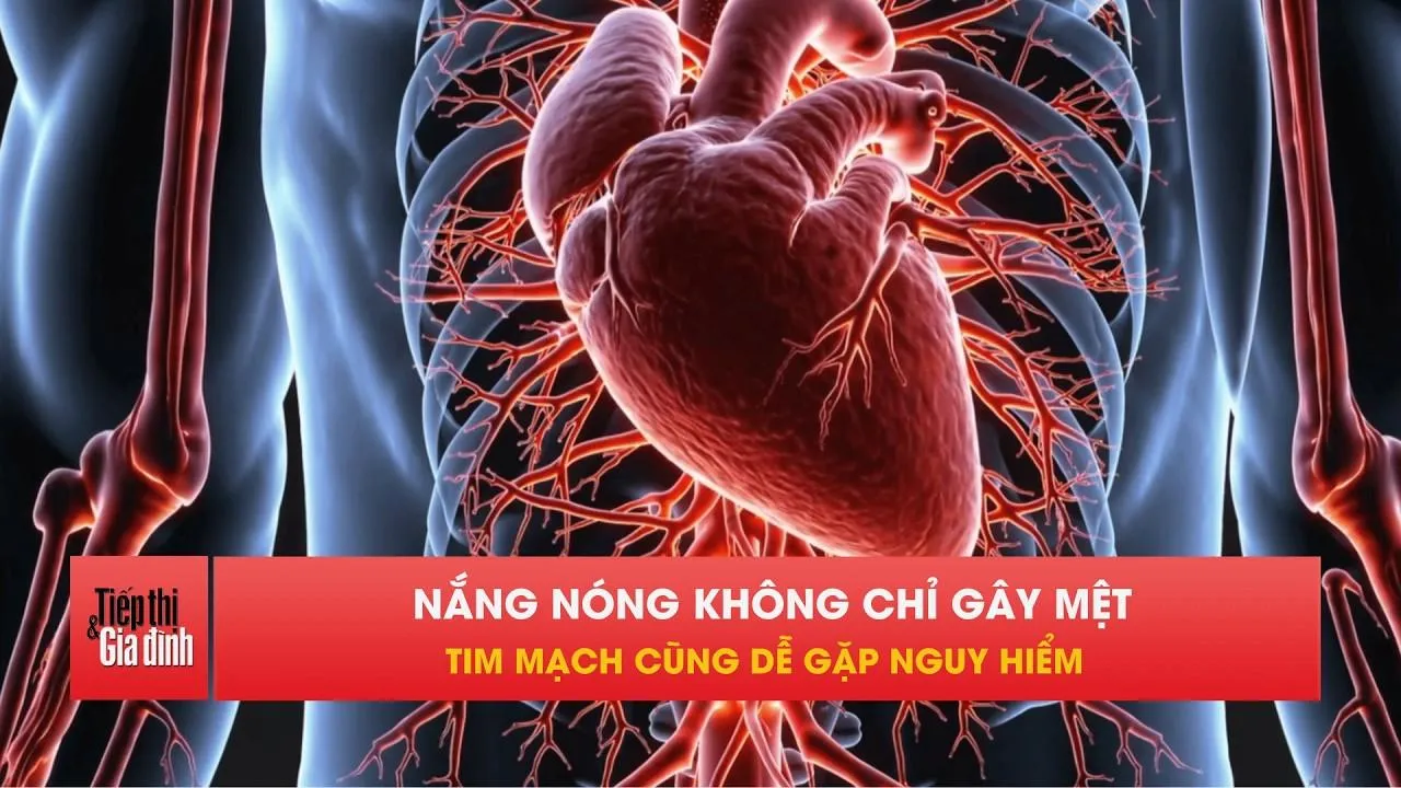 Nắng nóng mùa hè có thể âm thầm gây hại cho tim