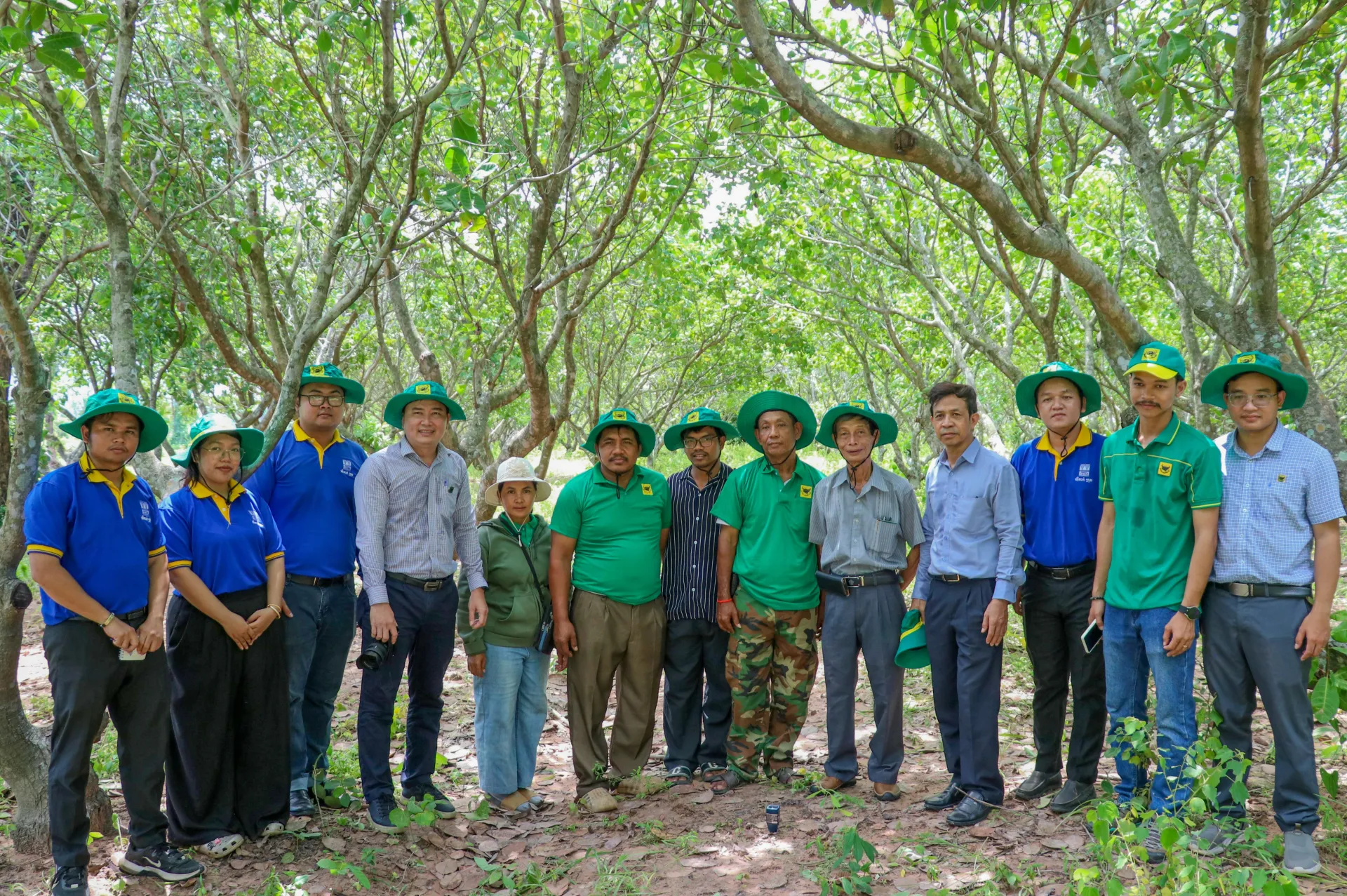 Bình Điền mang giải pháp dinh dưỡng khoa học cho điều Campuchia: hành trình kiến tạo những mùa vàng thịnh vượng