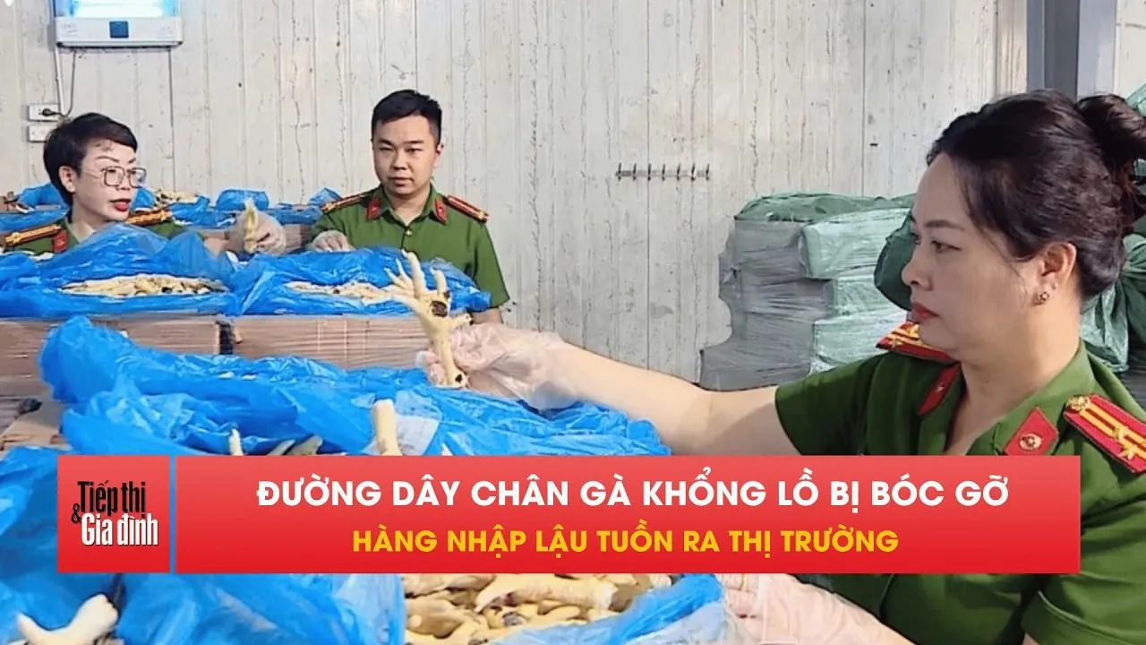 Khởi tố vụ buôn lậu hơn 1 triệu tấn chân gà