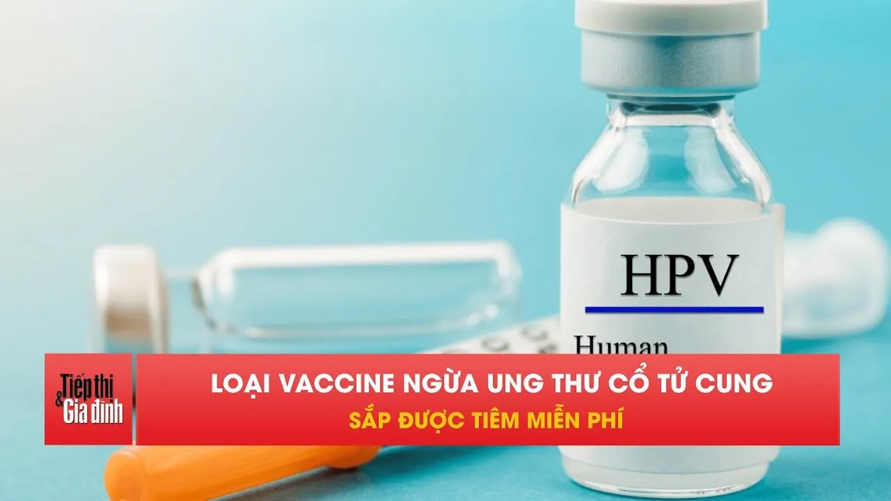 4 địa phương sắp tiêm miễn phí vaccine HPV cho trẻ em gái