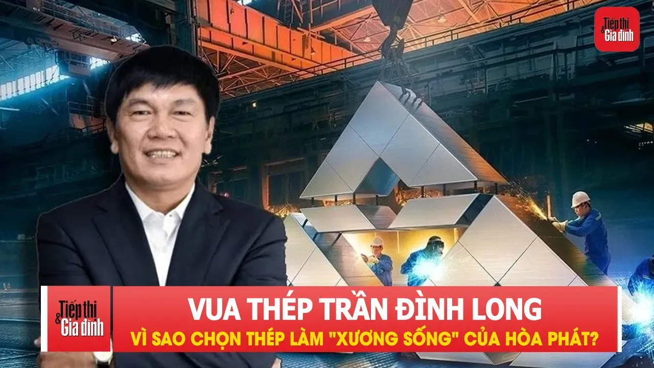 Vì sao Vua thép Trần Đình Long chọn thép làm 'xương sống' của Hòa Phát?