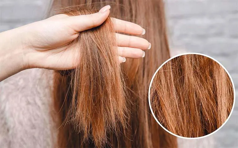Dùng dầu gội đắt tiền nhưng tóc vẫn khô xơ? Nguyên nhân có thể nằm ở những thói quen hằng ngày