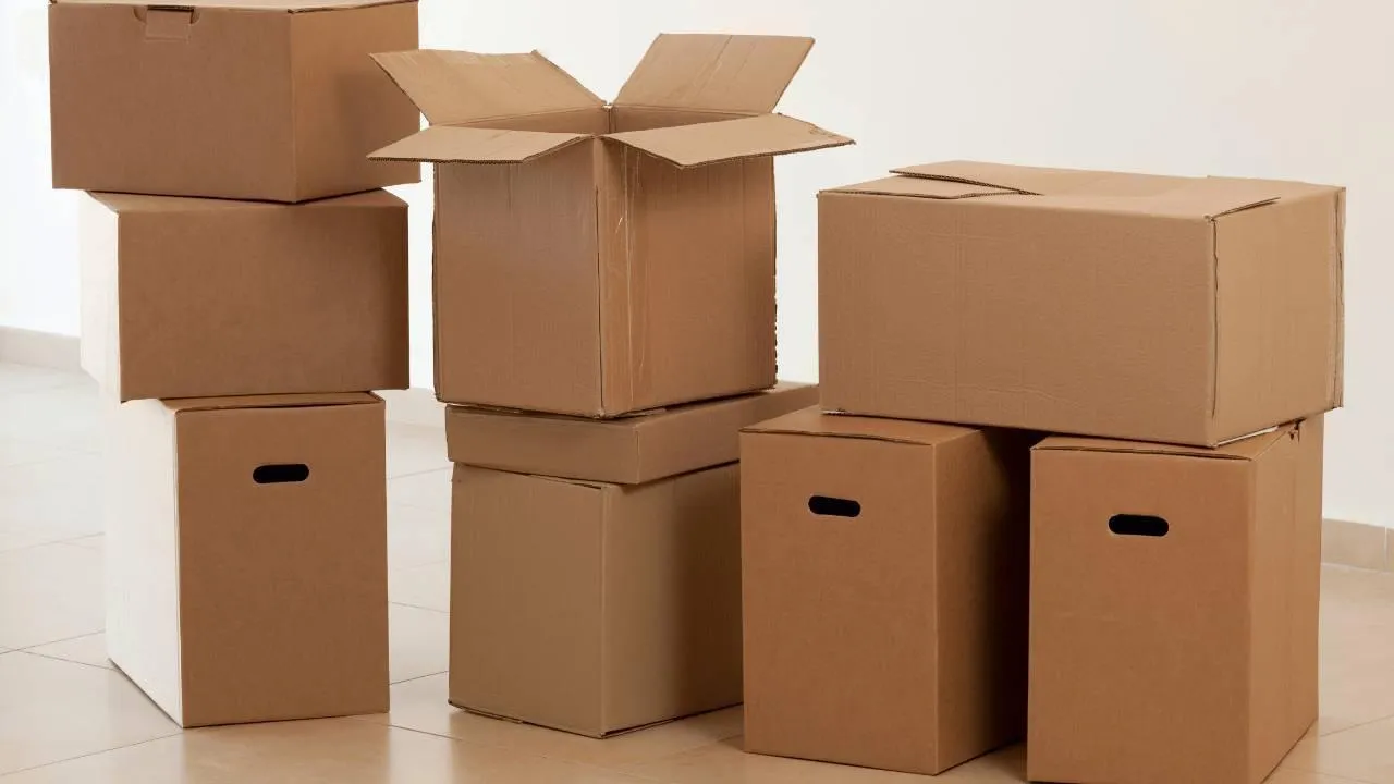 Chiếc thùng carton sau mỗi đơn hàng: 3 mối nguy đáng lo ngại mà nhiều người không hay