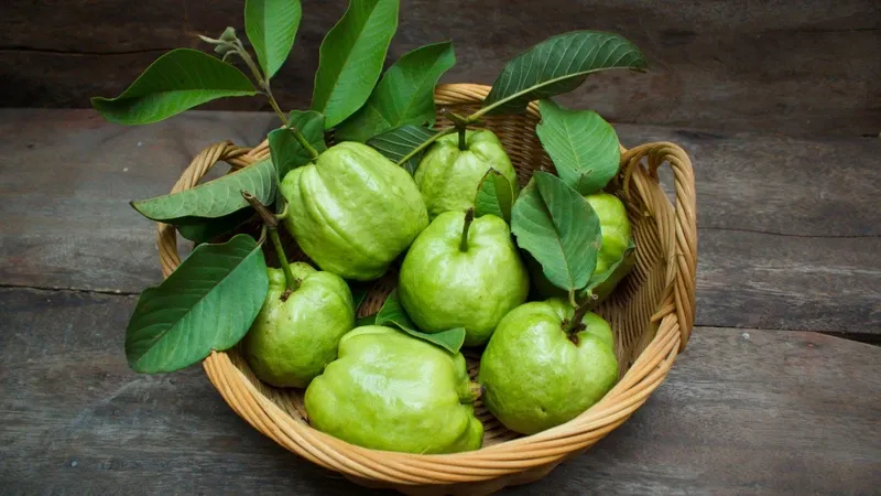 Đừng kết hợp ổi với những thực phẩm này nếu không muốn đau bụng, khó tiêu