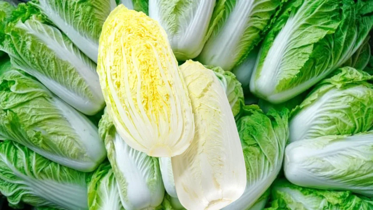 Cải thảo trắng vàng với cải thảo xanh: Loại nào ngon giòn, giàu dưỡng chất hơn?