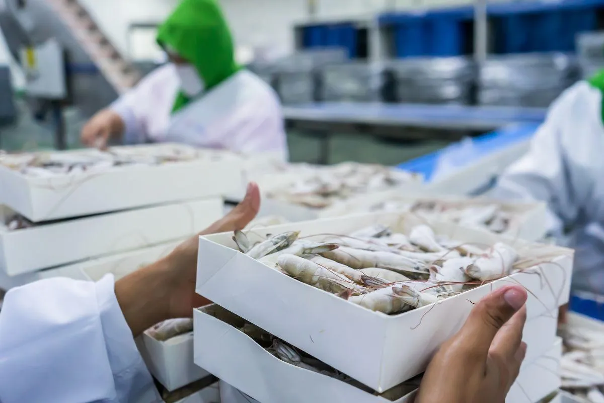 5 ngành nghề vẫn 'sống khỏe' trong kỷ nguyên AI: Thu nhập cao, 10 năm tới doanh nghiệp còn săn đón