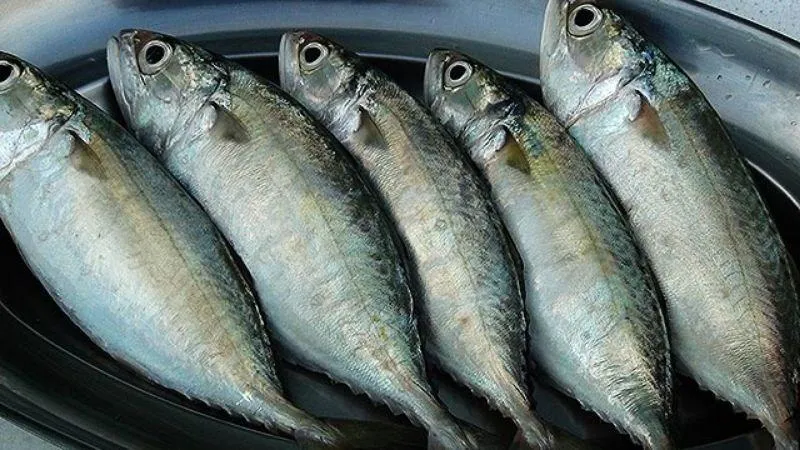 3 loại cá nhiều thịt, ít xương đang vào mùa ngon nhất, đi chợ thấy đừng bỏ lỡ